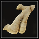 Ginger Root